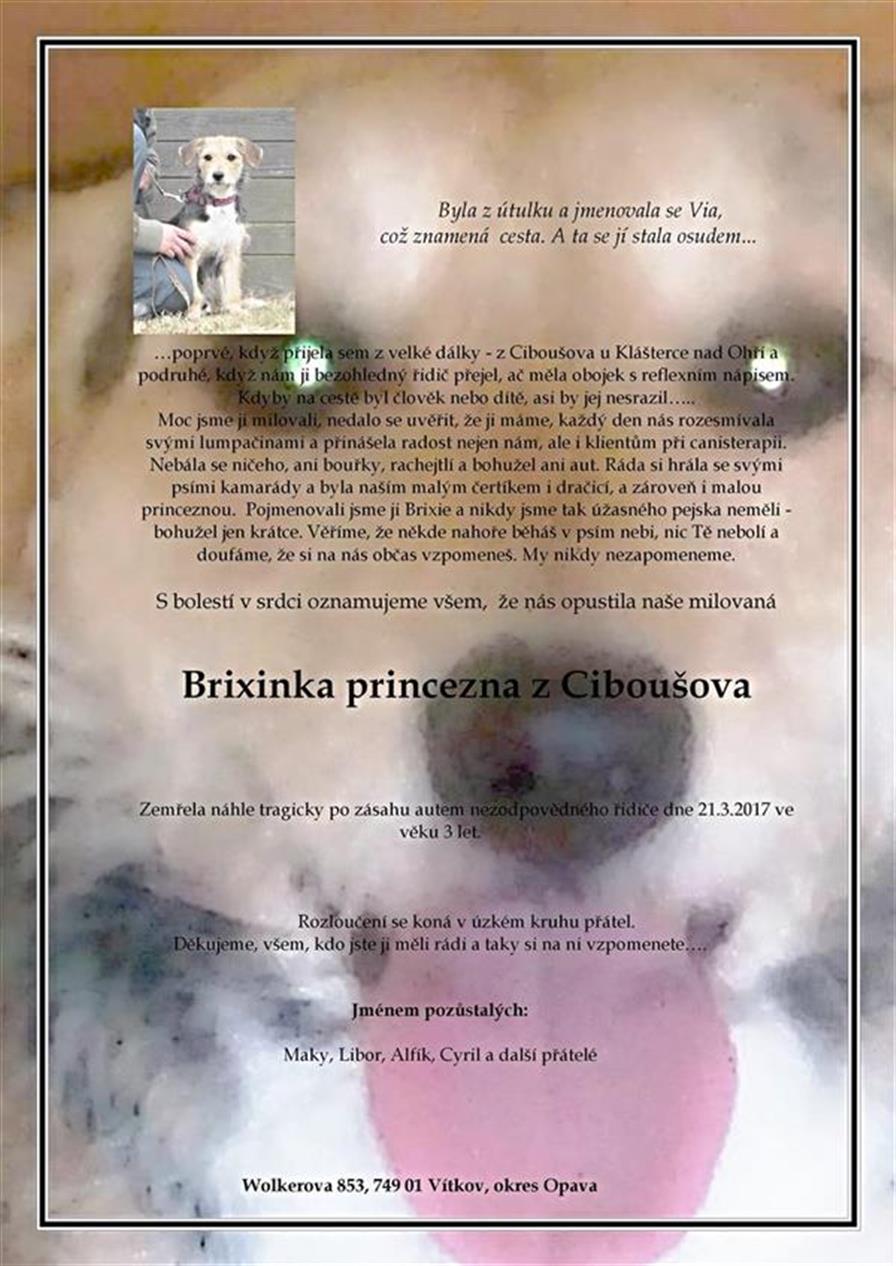 Brixie_princezna_z_Cibousova_parte3.jpg